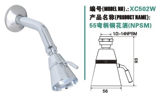 Brass shower head