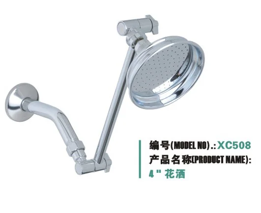 Brass shower head