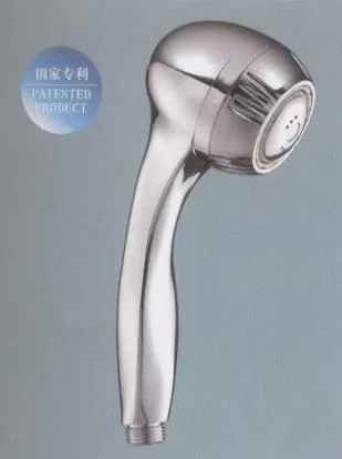 Handheld shower head